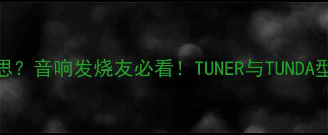 图片 🔥功放TUN是什么意思？音响发烧友必看！TUNER与TUNDA型号全+选购避坑指南