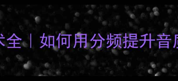 图片 🔥发烧音响分频技术全｜如何用分频提升音质？｜最新选购指南