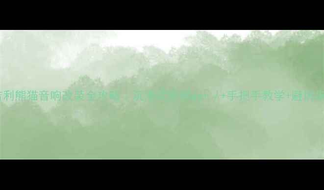 图片 🔥吉利熊猫音响改装全攻略｜沉浸式听感get√+手把手教学+避坑指南2