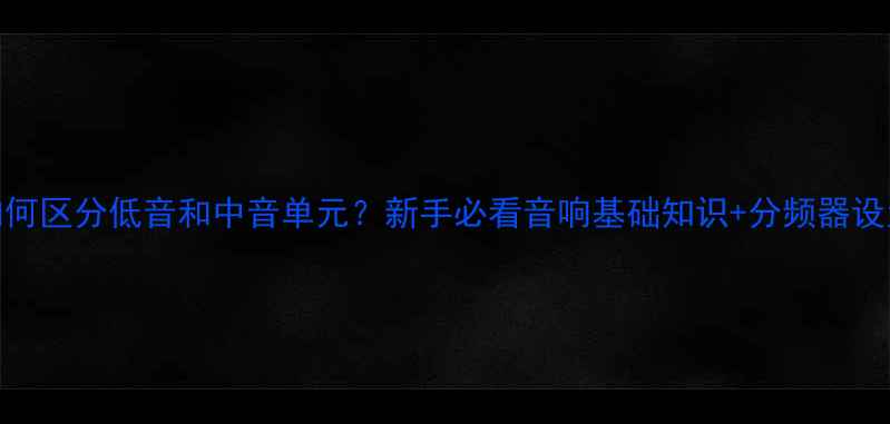 图片 🔥喇叭如何区分低音和中音单元？新手必看音响基础知识+分频器设置技巧💡