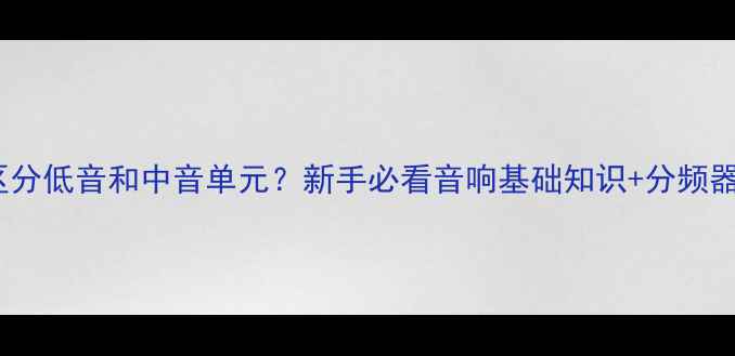 图片 🔥喇叭如何区分低音和中音单元？新手必看音响基础知识+分频器设置技巧💡1