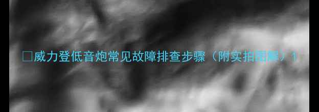 图片 🔥威力登低音炮常见故障排查步骤（附实拍图解）1