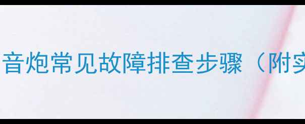 图片 🔥威力登低音炮常见故障排查步骤（附实拍图解）2
