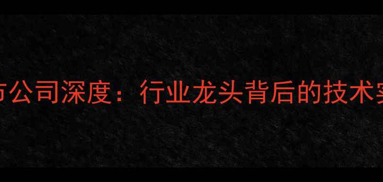 图片 🔥山东音箱上市公司深度：行业龙头背后的技术实力与市场布局