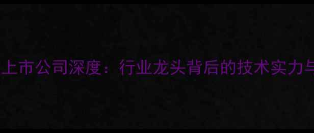图片 🔥山东音箱上市公司深度：行业龙头背后的技术实力与市场布局2