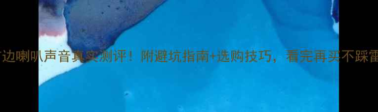 图片 🔥布边喇叭声音真实测评！附避坑指南+选购技巧，看完再买不踩雷🎵2