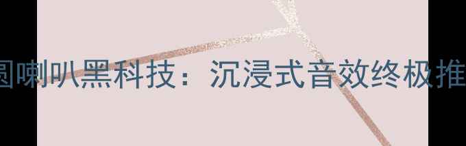 图片 🔥德国10寸钴磁椭圆喇叭黑科技：沉浸式音效终极推荐！附选购指南🔥2