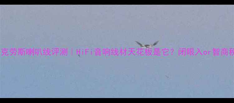 图片 🔥德国克劳斯喇叭线评测｜HiFi音响线材天花板是它？闭眼入or智商税？🔥2