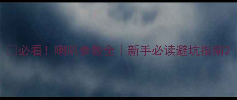 图片 🔥必看！喇叭参数全｜新手必读避坑指南2