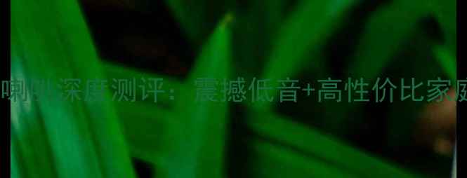 图片 🔥惠威69低音喇叭深度测评：震撼低音+高性价比家庭影院神器！2