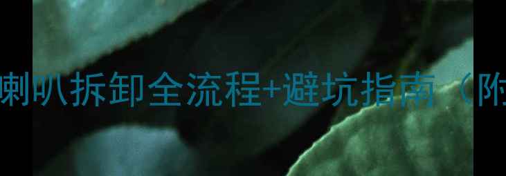 图片 🔥捷达音响喇叭拆卸全流程+避坑指南（附工具清单）