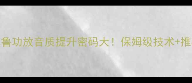 图片 🔥斯巴鲁功放音质提升密码大！保姆级技术+推荐理由