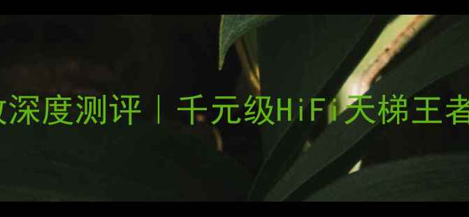 图片 🔥新珑AT系列功放深度测评｜千元级HiFi天梯王者到底有多强？🎧2