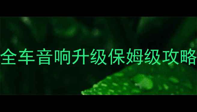 图片 🔥昆山奥迪车主必看！全车音响升级保姆级攻略（附沉浸式体验报告）