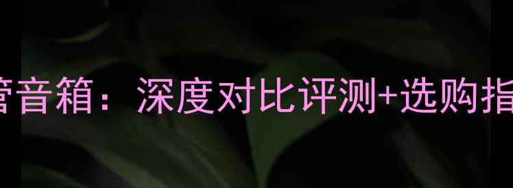 图片 🔥晶体管音箱vs电子管音箱：深度对比评测+选购指南（附避坑攻略）💡2