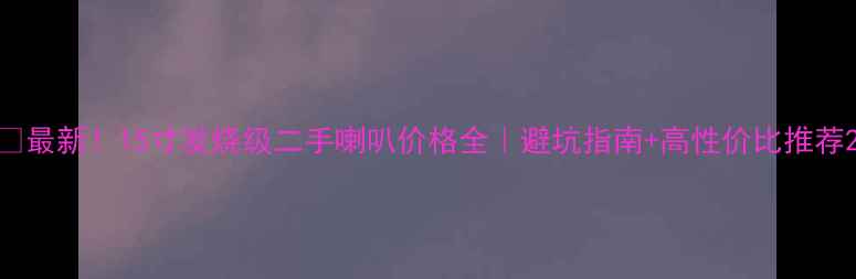 图片 🔥最新！15寸发烧级二手喇叭价格全｜避坑指南+高性价比推荐2