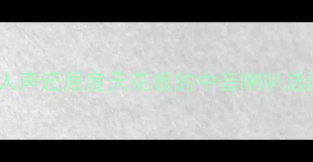 图片 🔥汽车音响改装必看！人声还原度天花板的中音喇叭选配攻略（附实测清单）1