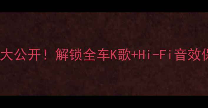 图片 🔥特斯拉音响隐藏功能大公开！解锁全车K歌+Hi-Fi音效保姆级教程（最新版）1