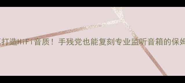 图片 🔥百元预算打造HiFi音质！手残党也能复刻专业监听音箱的保姆级教程✨1
