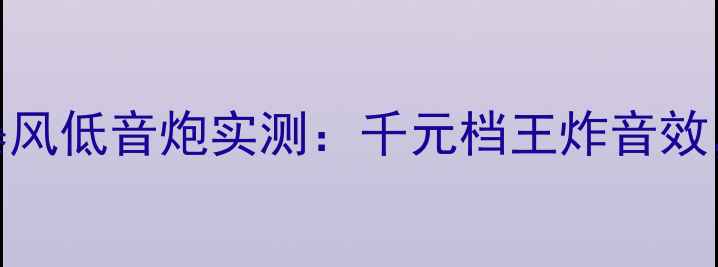 图片 🔥百威音响新宠！10寸暴风低音炮实测：千元档王炸音效，租房客厅车载全适配！