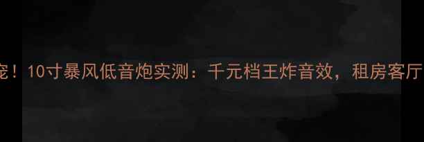 图片 🔥百威音响新宠！10寸暴风低音炮实测：千元档王炸音效，租房客厅车载全适配！1