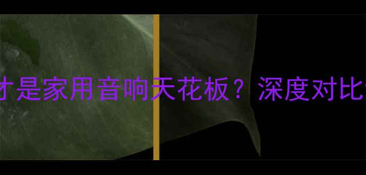 图片 🔥皇声VS雅马哈：谁才是家用音响天花板？深度对比评测（附选购指南）2