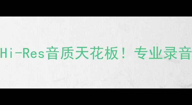 图片 🔥美国Eeaudio监听高音喇叭Hi-Res音质天花板！专业录音室同款车载家居工作室神器1