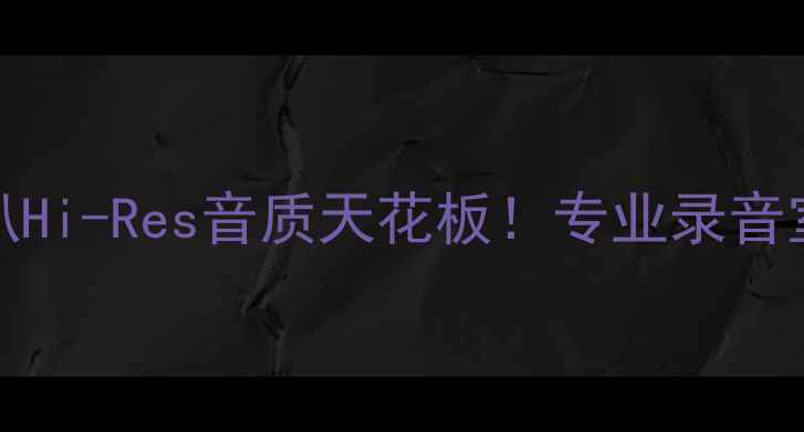 图片 🔥美国Eeaudio监听高音喇叭Hi-Res音质天花板！专业录音室同款车载家居工作室神器2