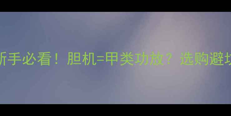 图片 🔥胆机甲类功放深度新手必看！胆机=甲类功放？选购避坑指南+高性价比推荐1