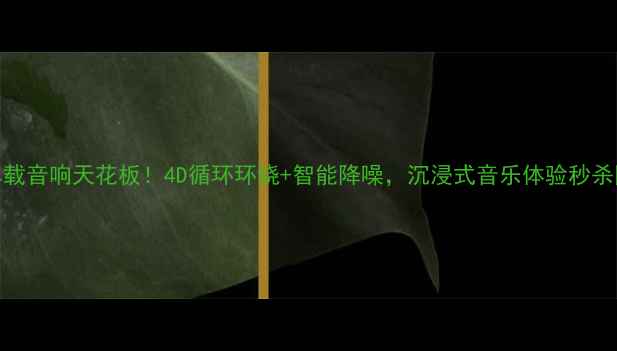 图片 🔥车载音响天花板！4D循环环绕+智能降噪，沉浸式音乐体验秒杀同行
