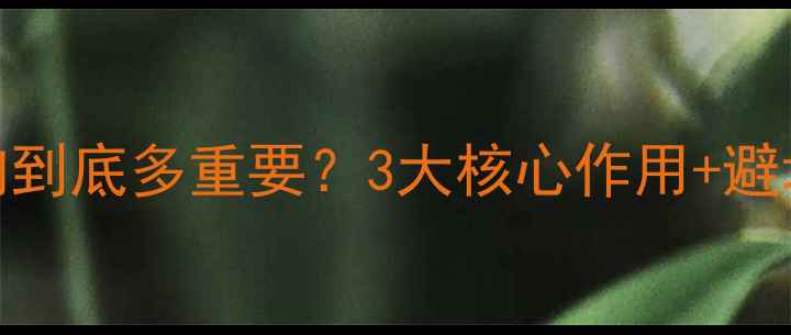 图片 🔥返送音响到底多重要？3大核心作用+避坑指南全！
