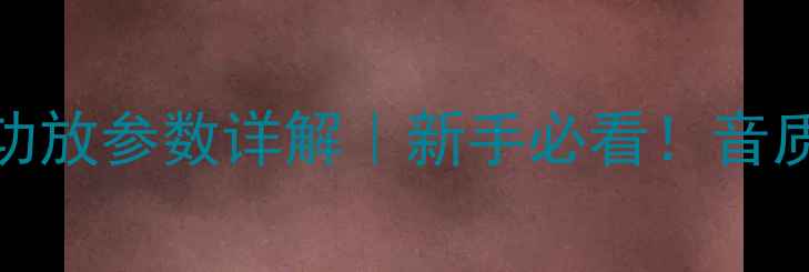 图片 🔥金嗓子206功放参数详解｜新手必看！音质与使用指南1