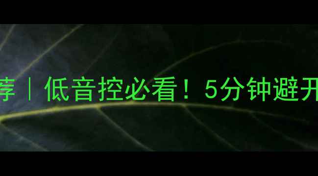 图片 🔥长冲程低音炮推荐｜低音控必看！5分钟避开选speaker的坑✅1