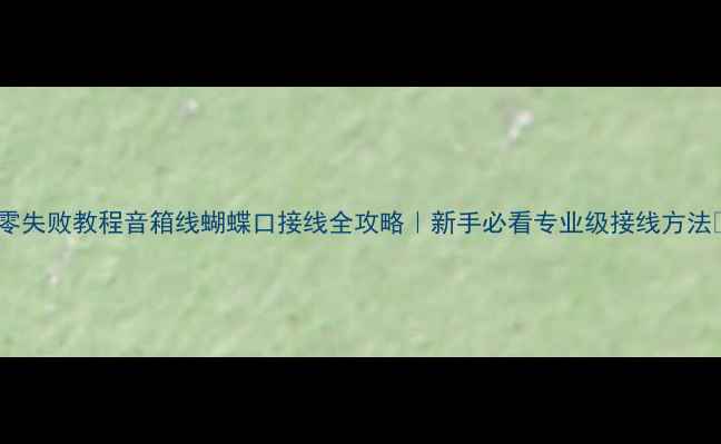 图片 🔥零失败教程音箱线蝴蝶口接线全攻略｜新手必看专业级接线方法✨1