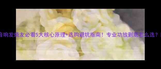 图片 🔥音响发烧友必看5大核心原理+选购避坑指南！专业功放到底怎么选？💡1