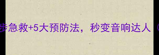 图片 🔥音箱受潮别慌！3步急救+5大预防法，秒变音响达人（附专业清洁教程）2