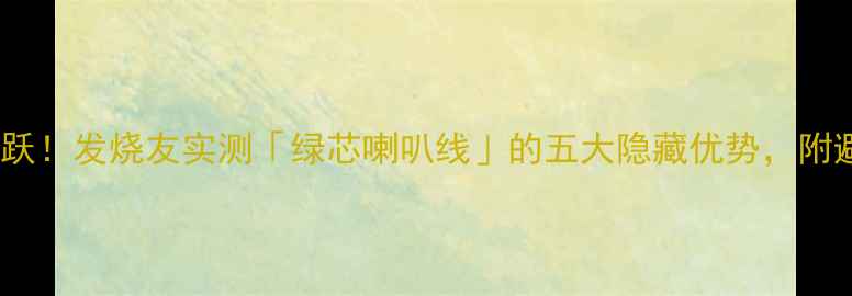 图片 🔥音质飞跃！发烧友实测「绿芯喇叭线」的五大隐藏优势，附避坑指南2