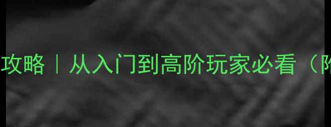 图片 🔥飞度音响改装全攻略｜从入门到高阶玩家必看（附最新器材清单）2