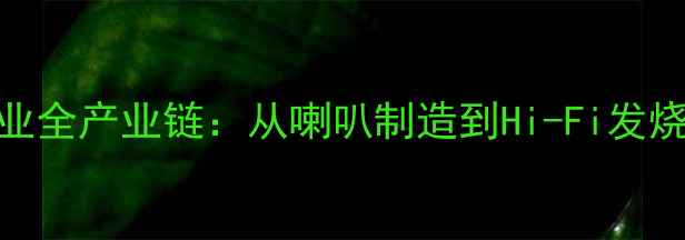 图片 🔥！中国音响行业全产业链：从喇叭制造到Hi-Fi发烧友的终极指南🔥